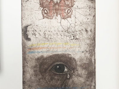 Jiří Anderle, Motýlek, 20x29 cm, 360 EUR