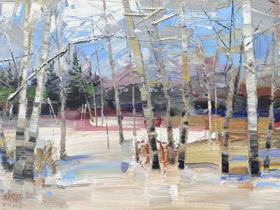 Zima 70x140 1800 Eur