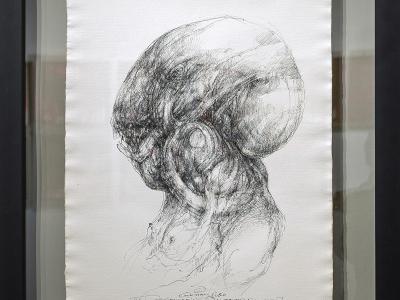 ĽUBO GUMAN, DE-GENERÁCIA IV., Klonovanie 09, tuš, ručný papier LOSYN, 2010-2024, 1800 EUR