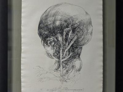 ĽUBO GUMAN, DE-GENERÁCIA IV., Klonovanie 10, tuš, ručný papier LOSYN, 2010-2024, 1800 EUR