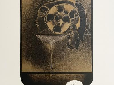 Vladimír Suchánek, Zlatá ulita, grafika, 22x32 cm, 240 EUR