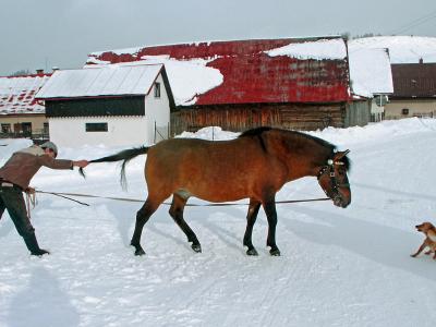Liptovska Teplicka 2