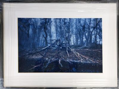 Foto2, rámovaný rozmer 60x40cm, cena 250 EUR